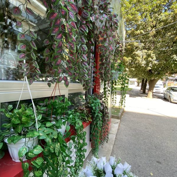Yllka Ukmata I.B. Genius Decor