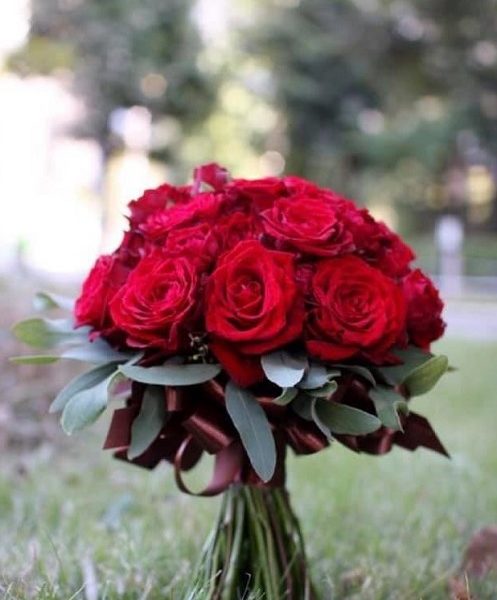 Filomena Laçi I.B.- Filomena’s Flowers