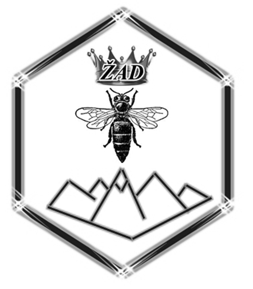 Miljan Krstic I.B. – “Zad”